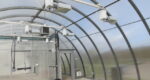 Thumbnail of 