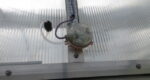 Thumbnail of 